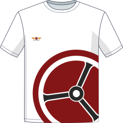 T-Shirt CVC