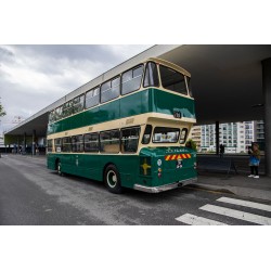 Passeio Manhã - Leyland e...