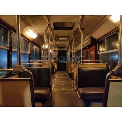 Dia inteiro com Almoço - Leyland e Volvo