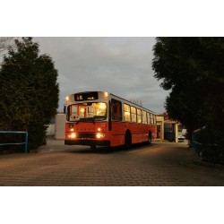 Dia inteiro com Almoço - Leyland e Volvo